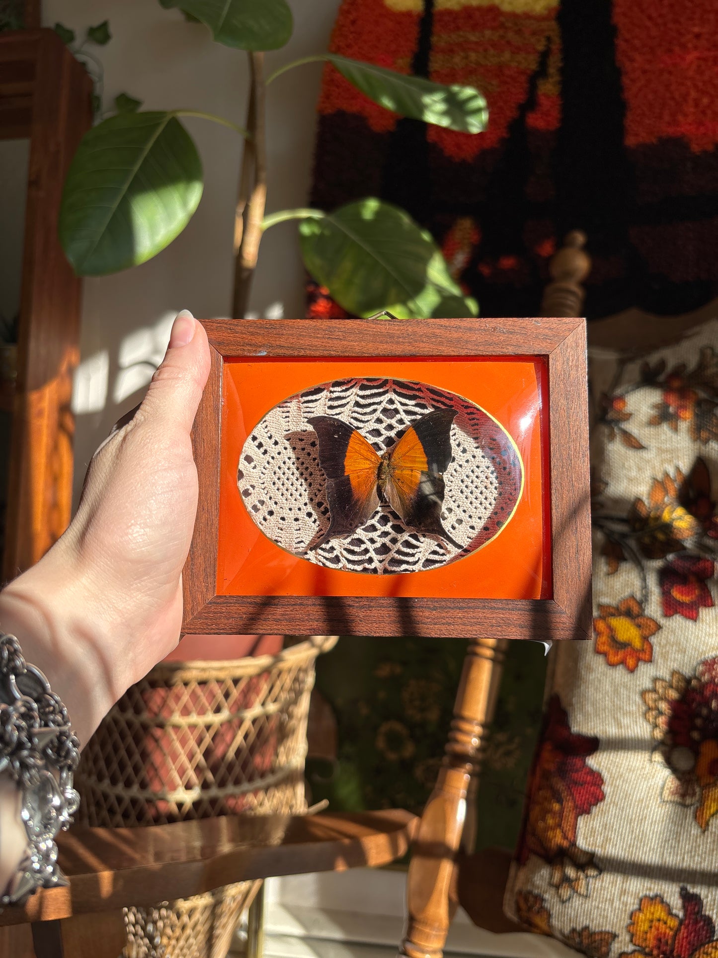 Bubble frame butterfly