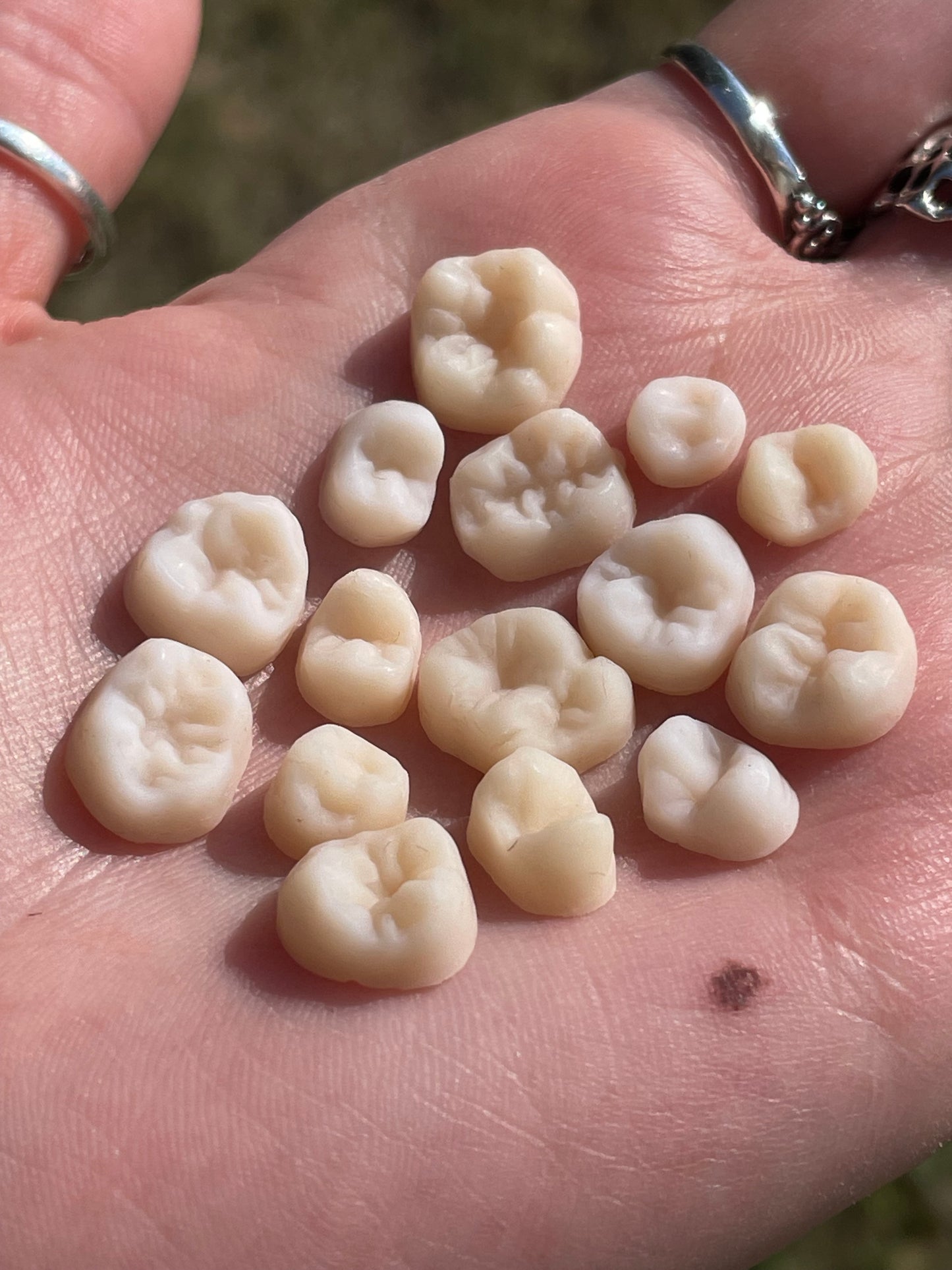 Bag O Teeth