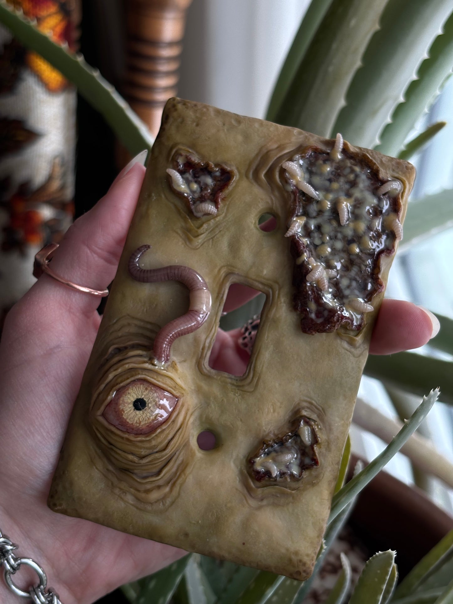 Rotten Light Switch Cover