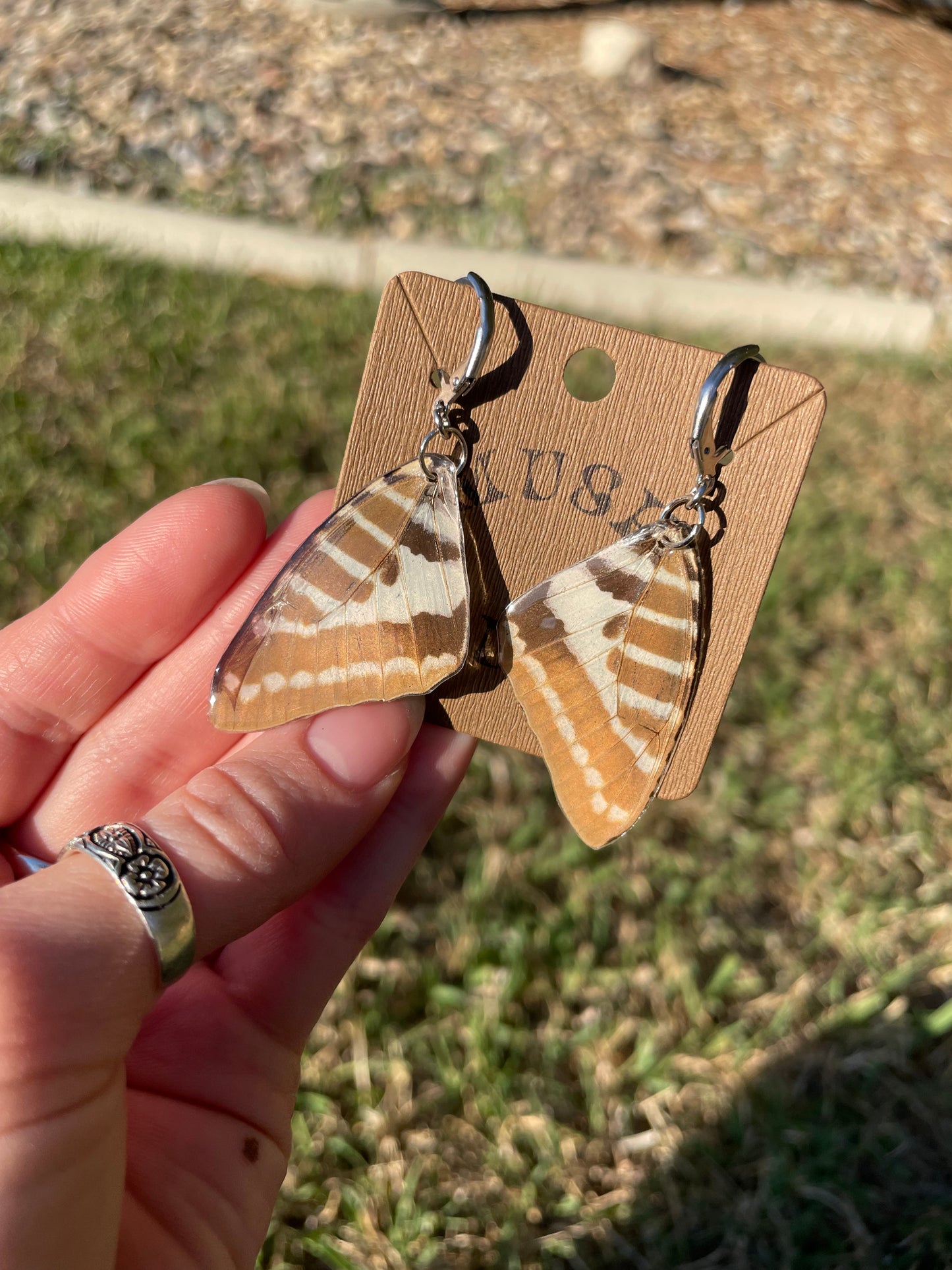 Butterfly Wing Earrings