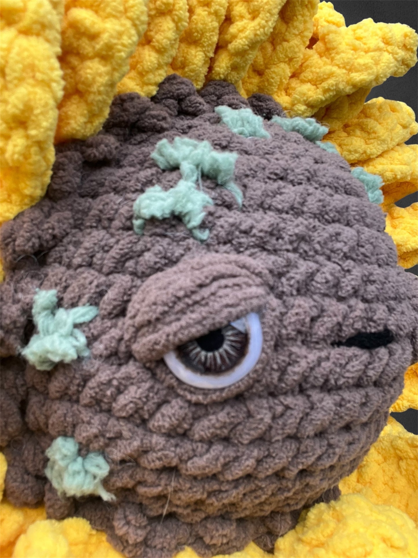 Derpy Sunflower baby