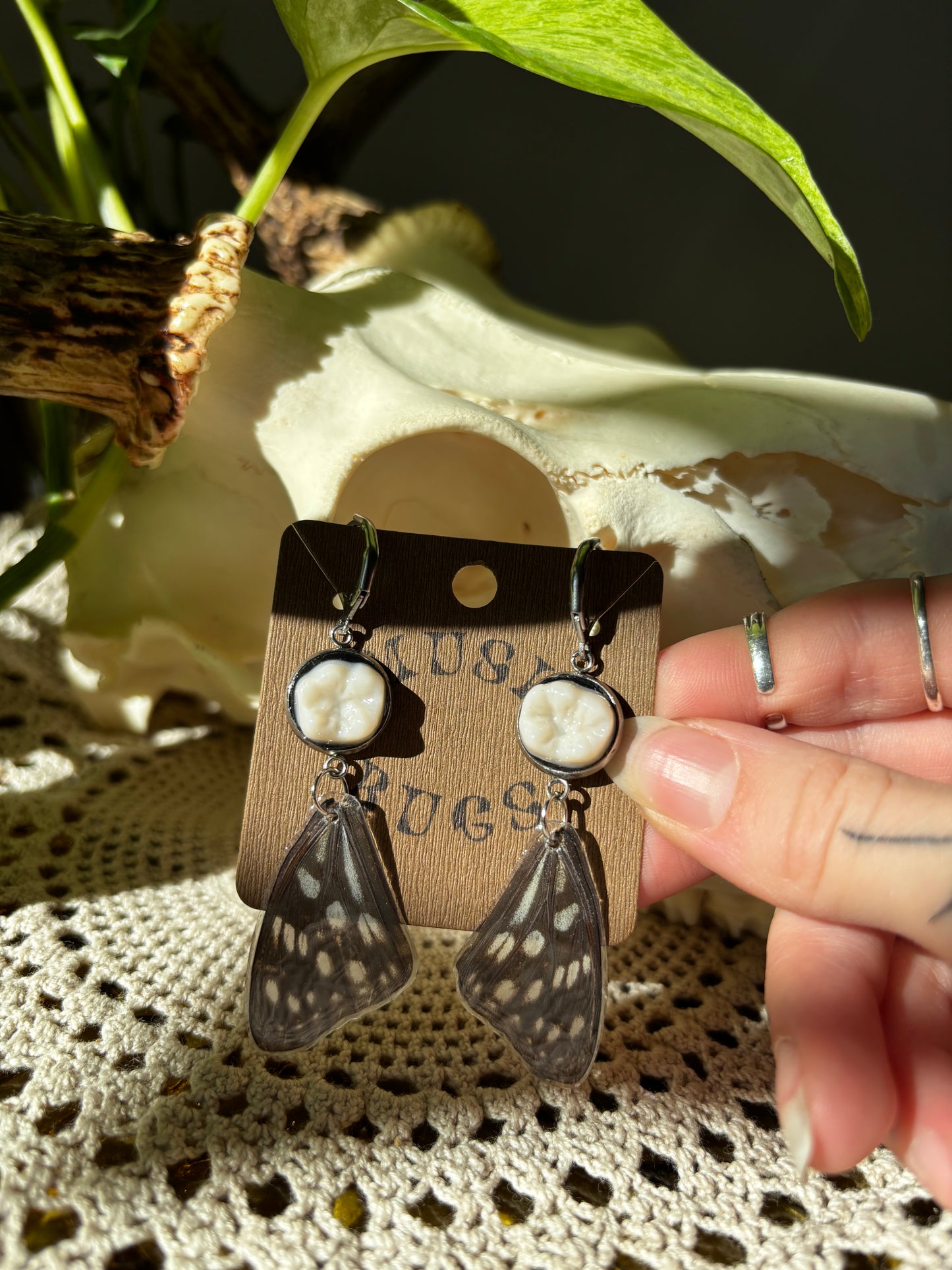 Butterfly Wing + Teeth Earrings