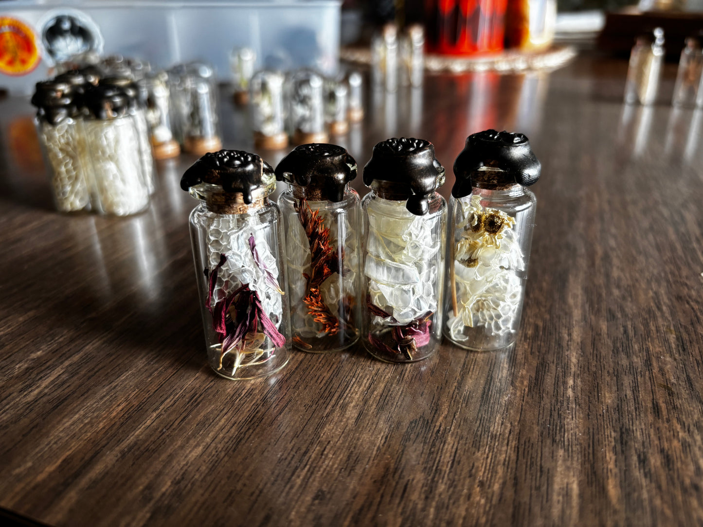 Snake Shed Curio Jar