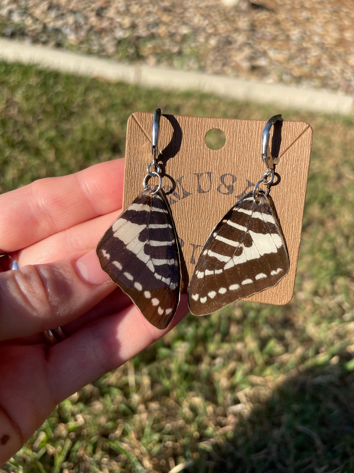 Butterfly Wing Earrings