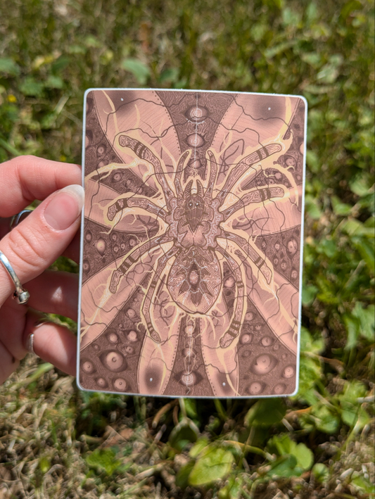 Tarantula Transcendence Sticker