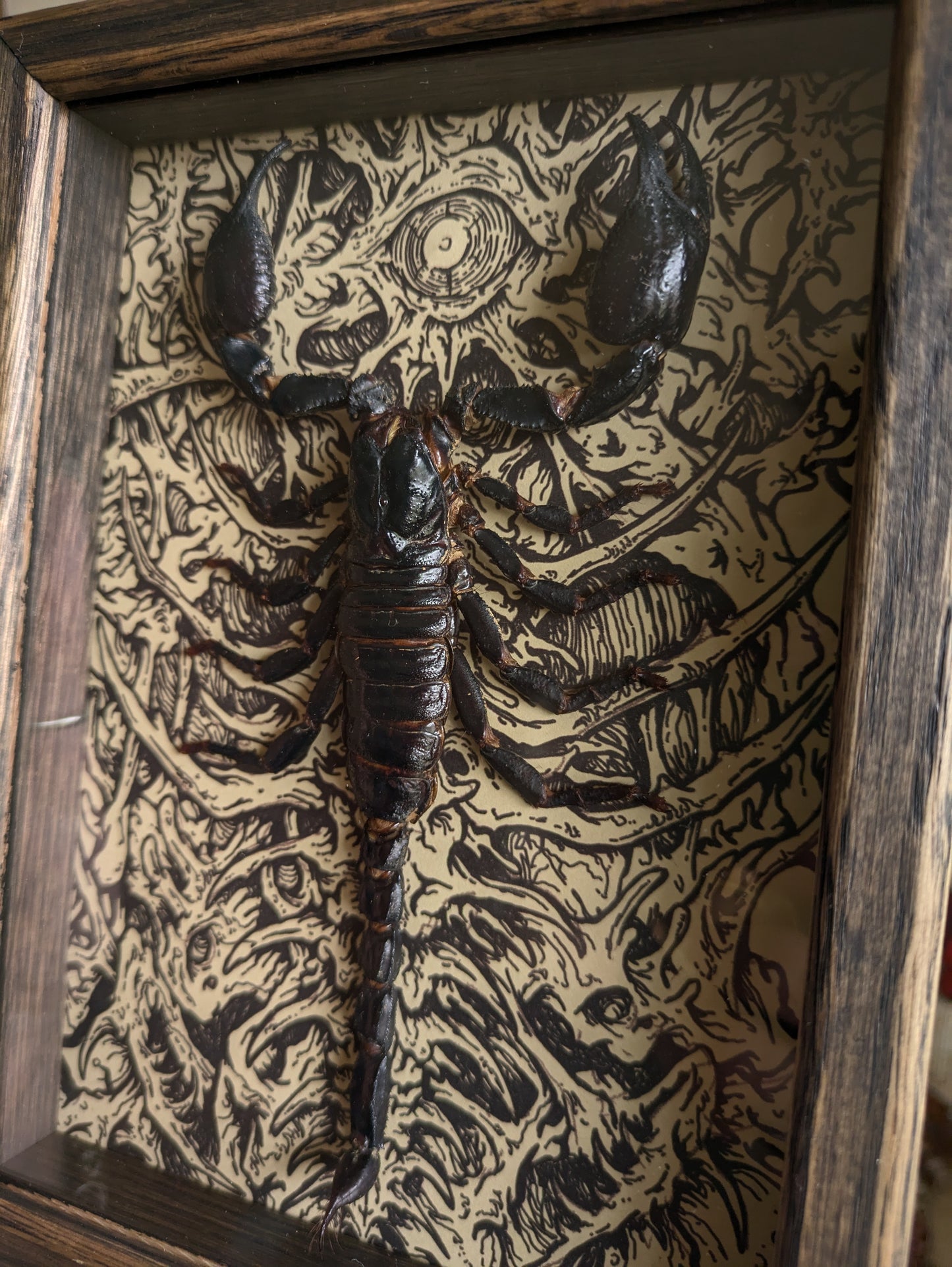 MUSHBUGS X GHOSTSHIP: Scorpion