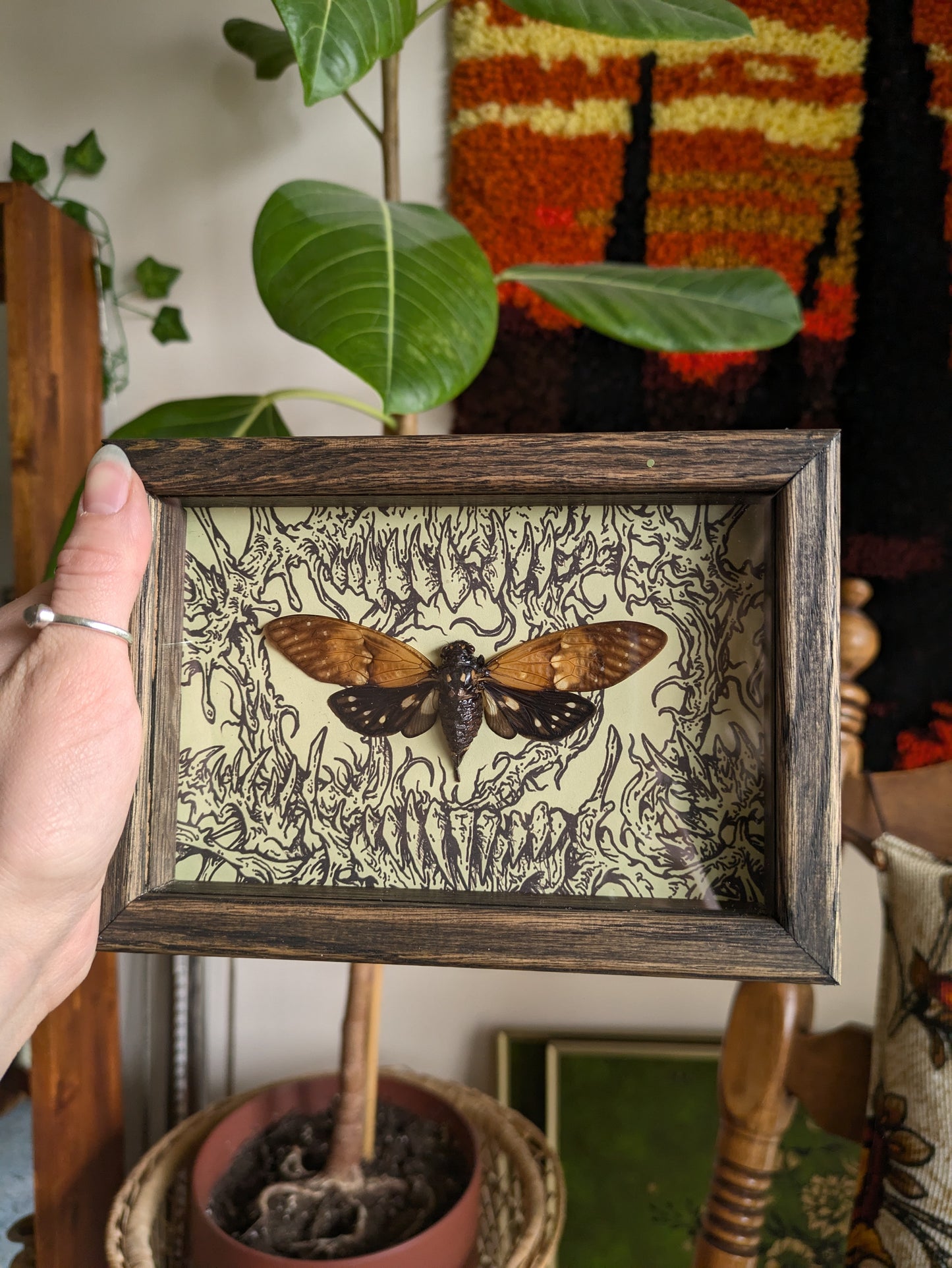 MUSHBUGS X GHOSTSHIP: Cicada