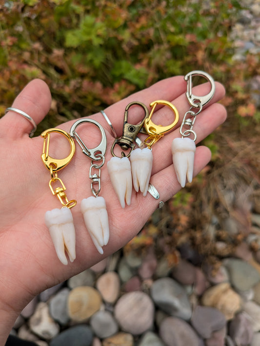 Tooth keychain