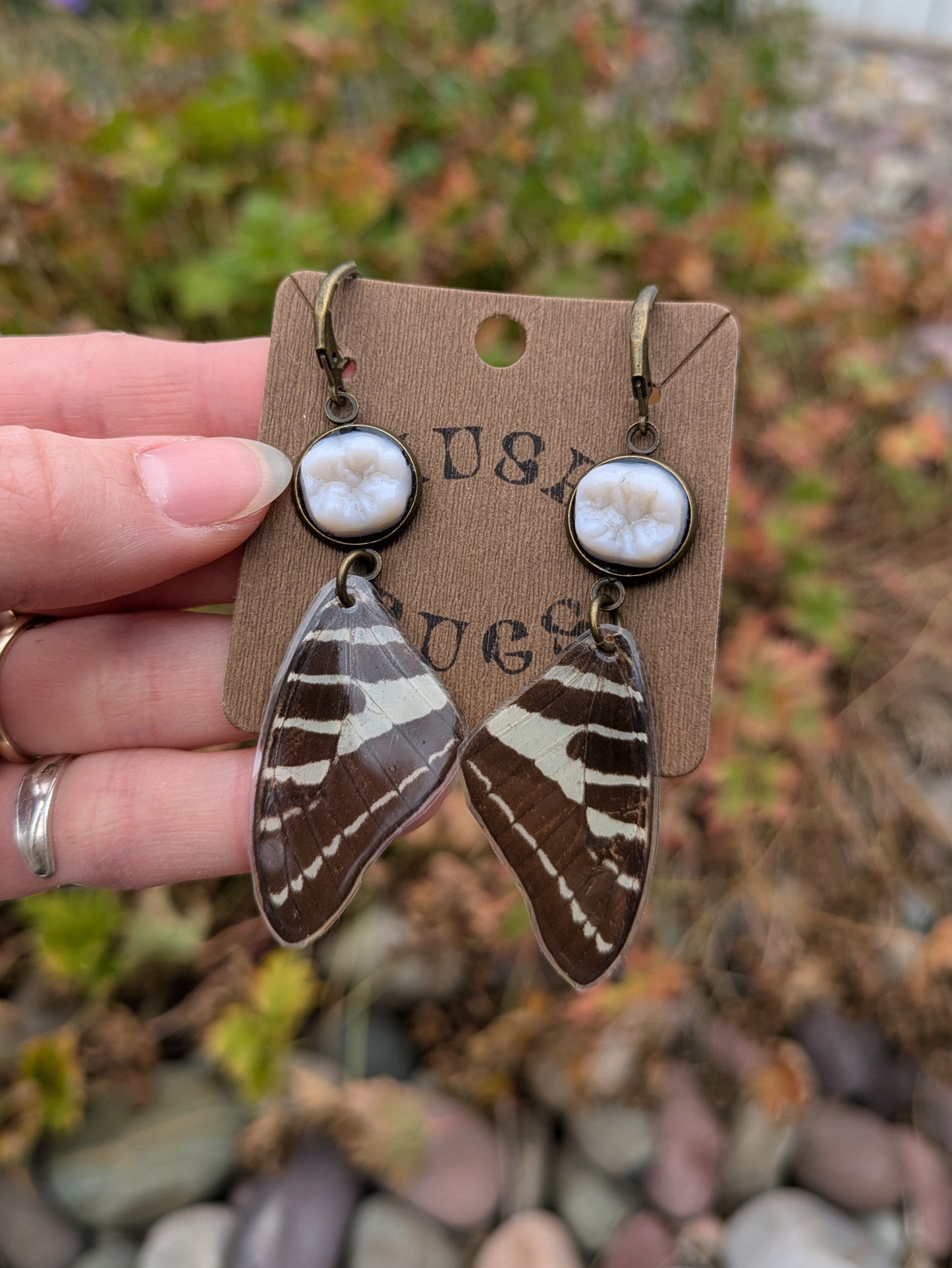 Butterfly Wing + Molar Earrings