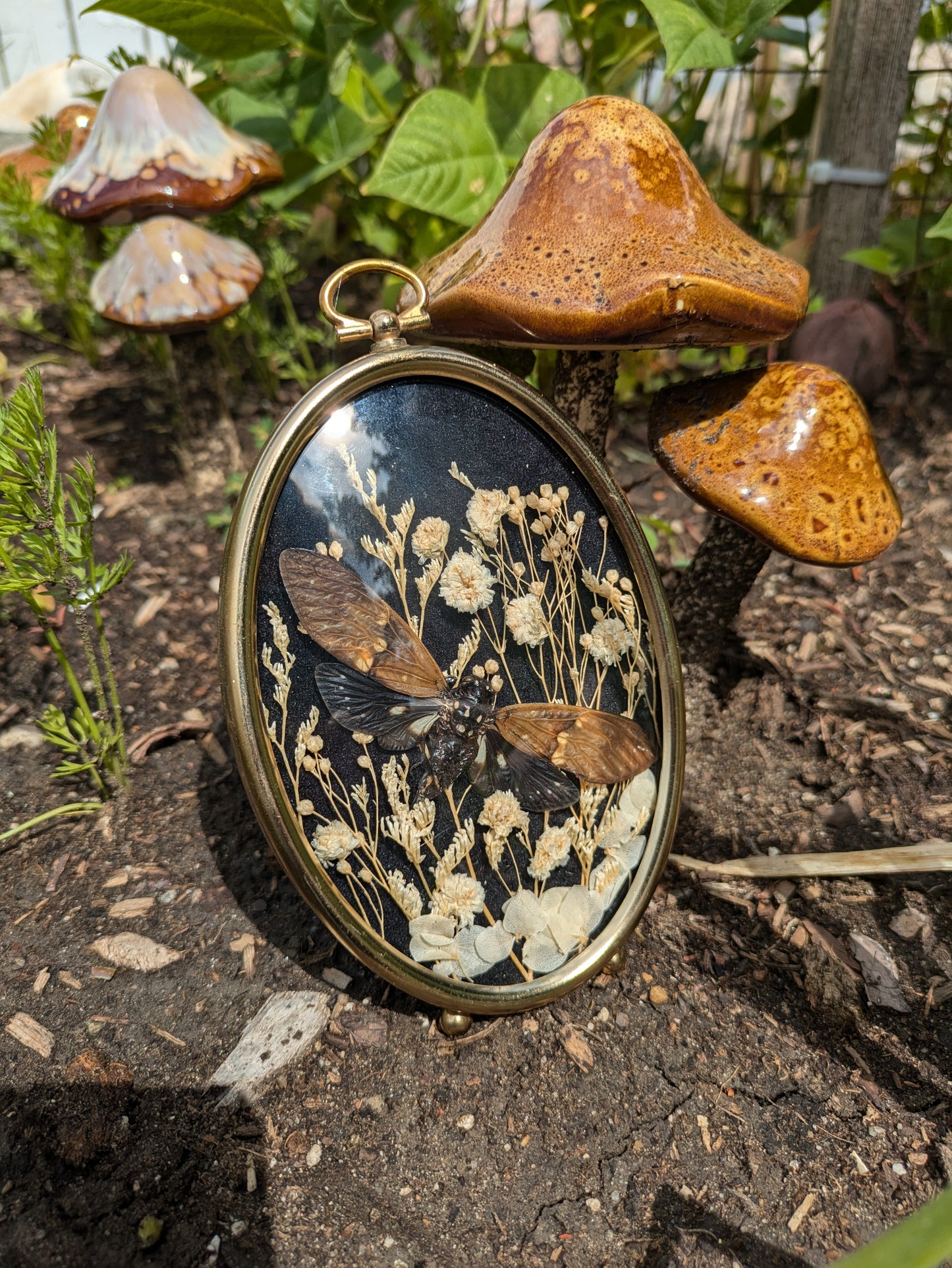 Cicada + Vintage Frame