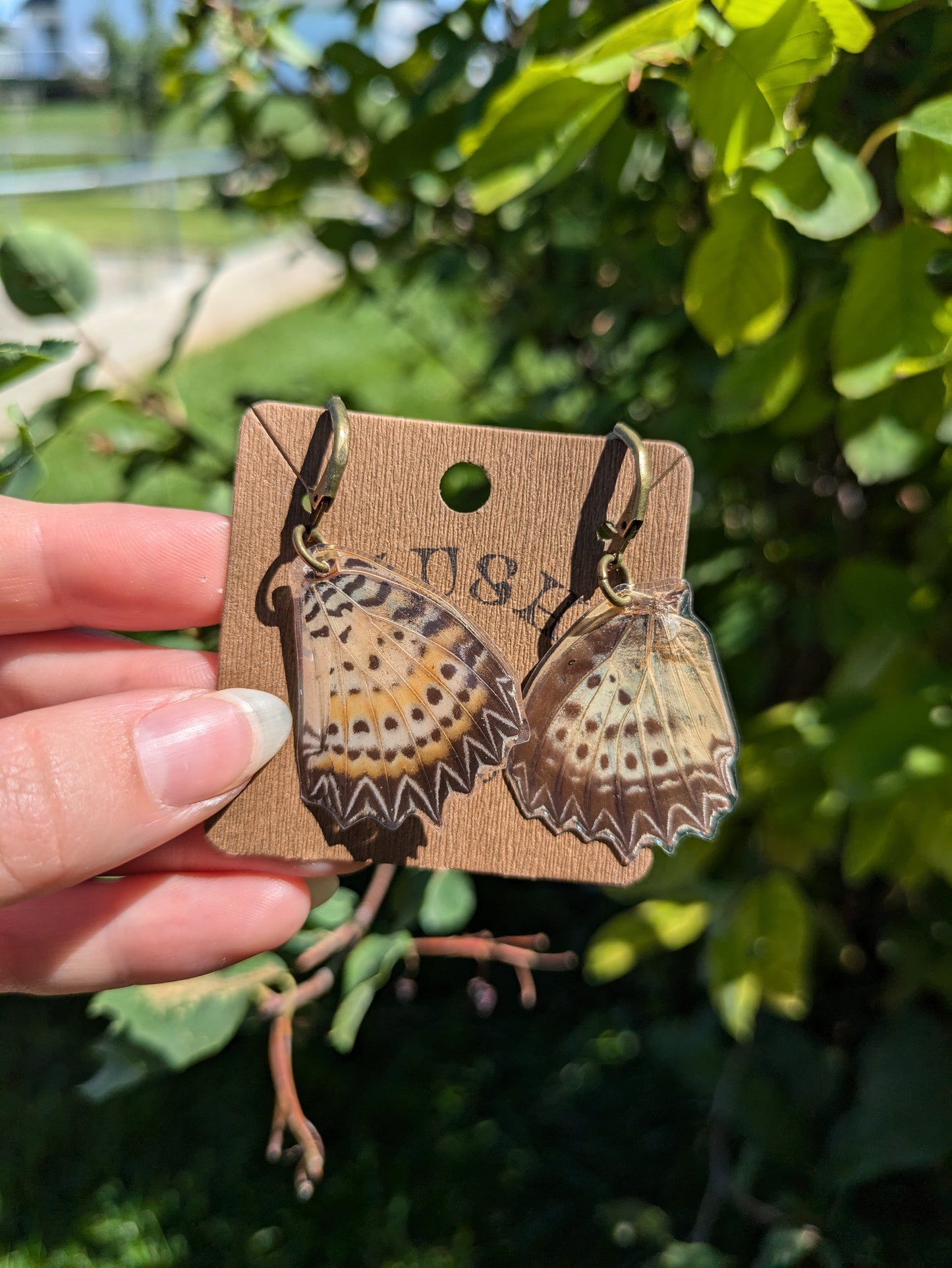 Butterfly Wing Earrings
