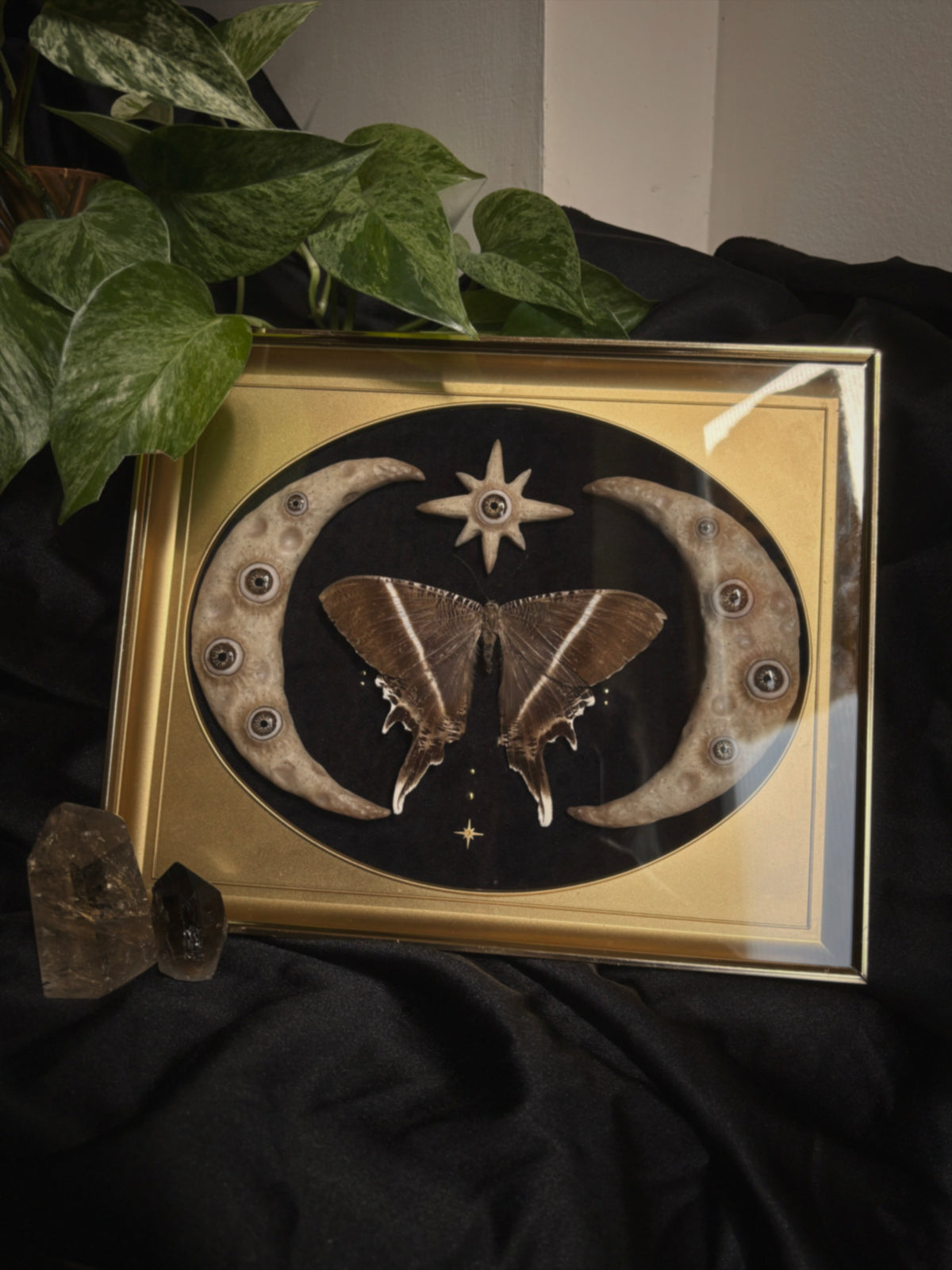 Celestial Moth