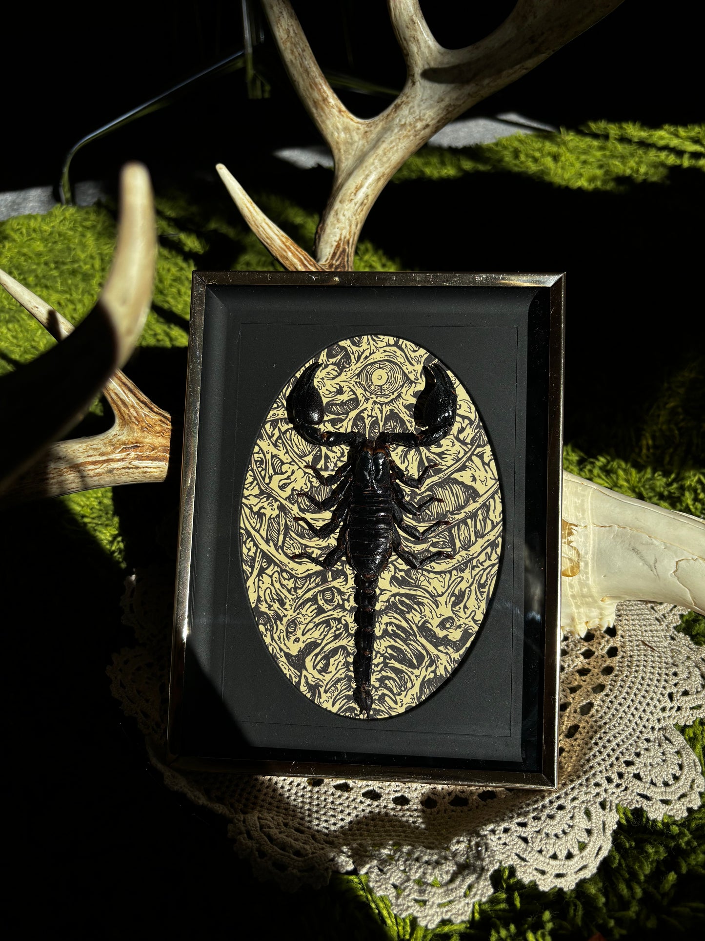 MUSHBUGS X GHOSTSHIP: Scorpion