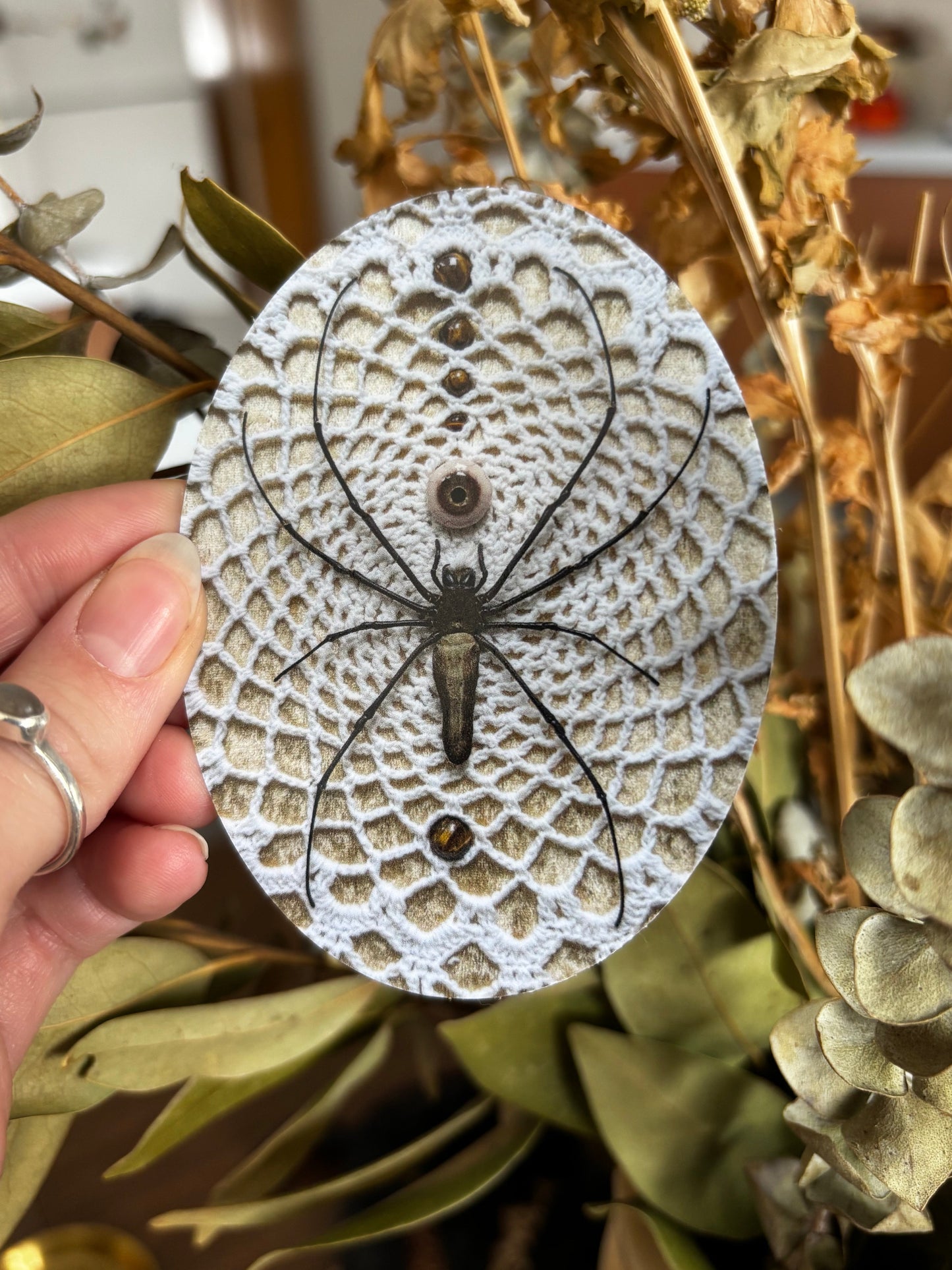 Orb weaver Vinyl Sticker