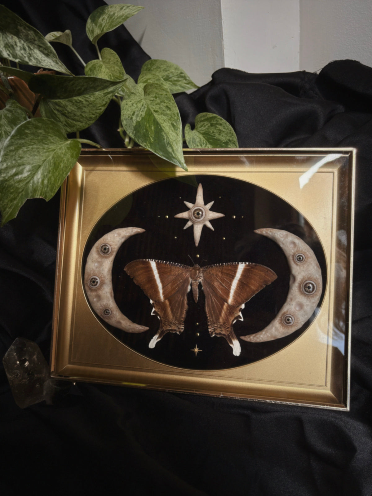 Celestial Moth