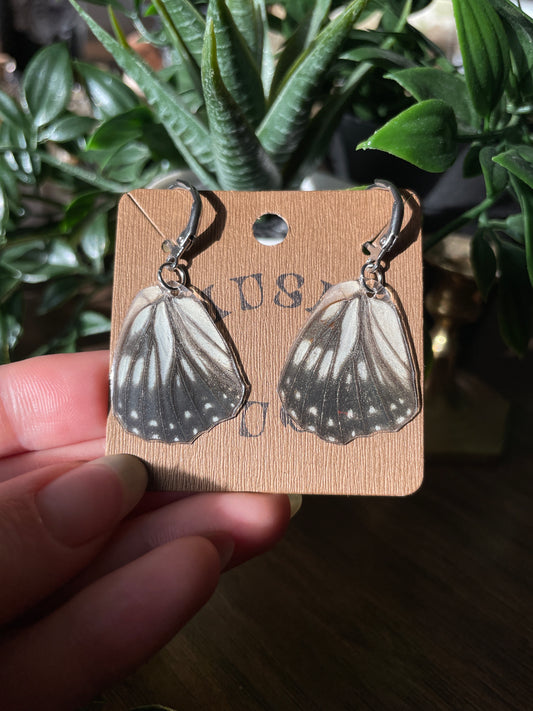 Butterfly Wing Earrings