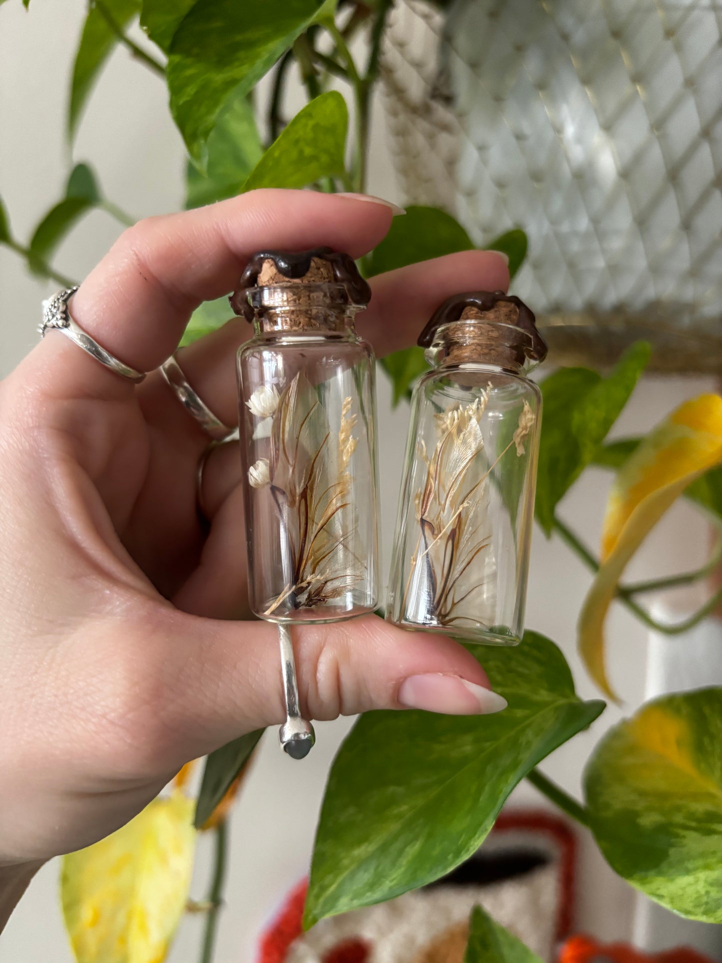 Beetle wing Curio Jar