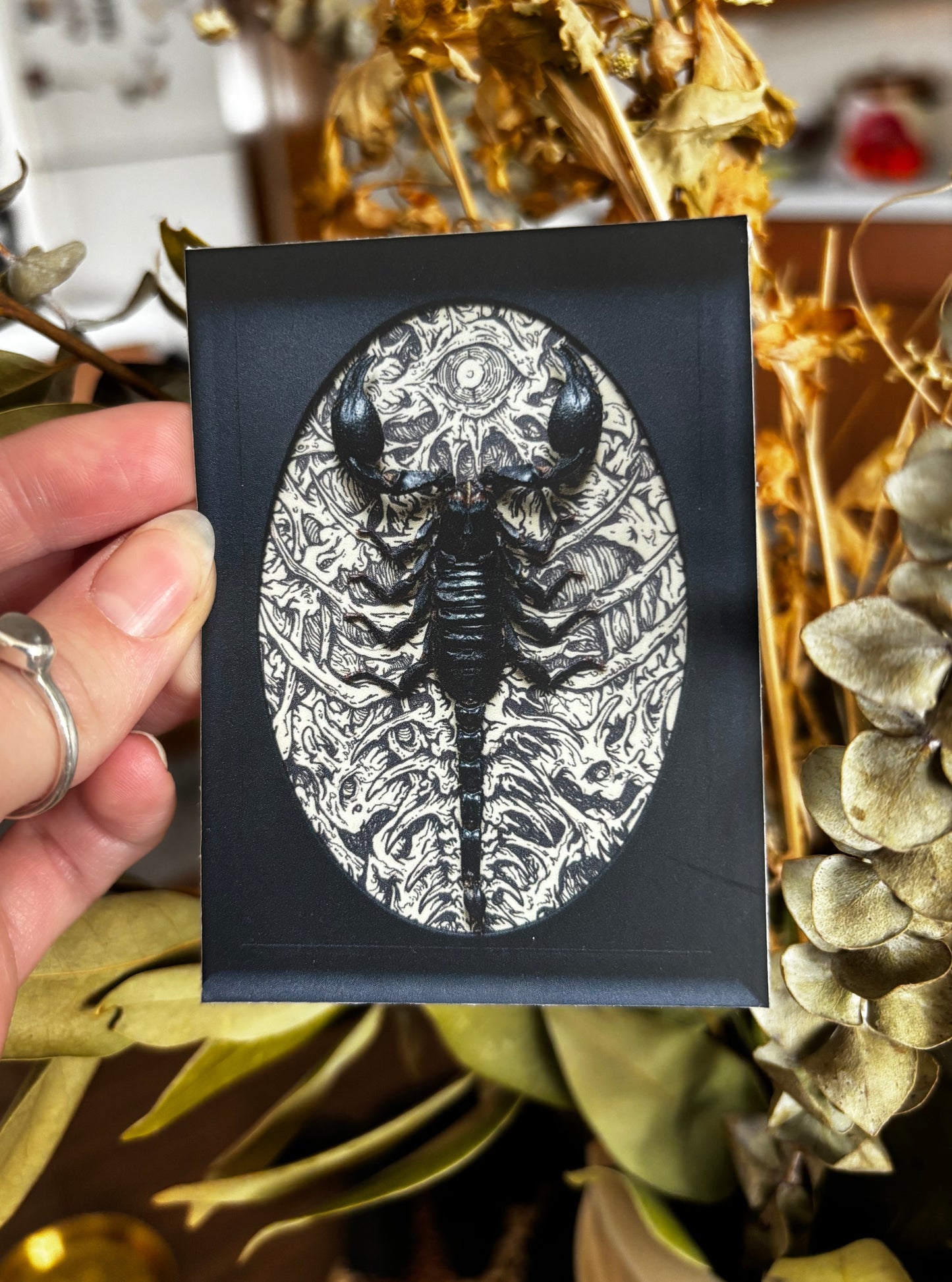 Scorpion Vinyl Sticker