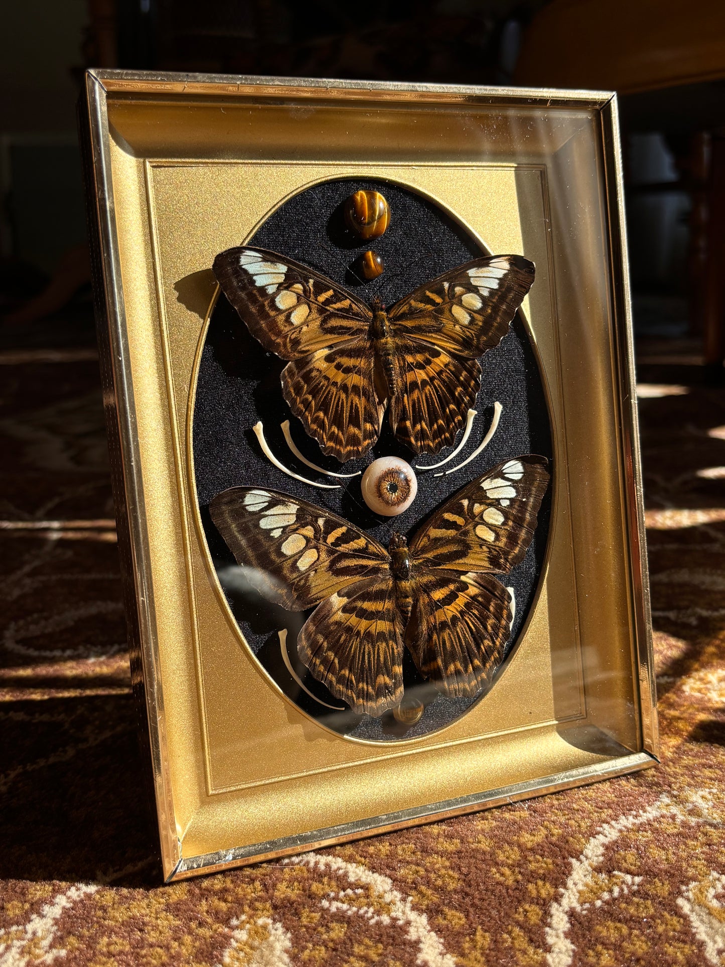 Clipper Alchemist frame