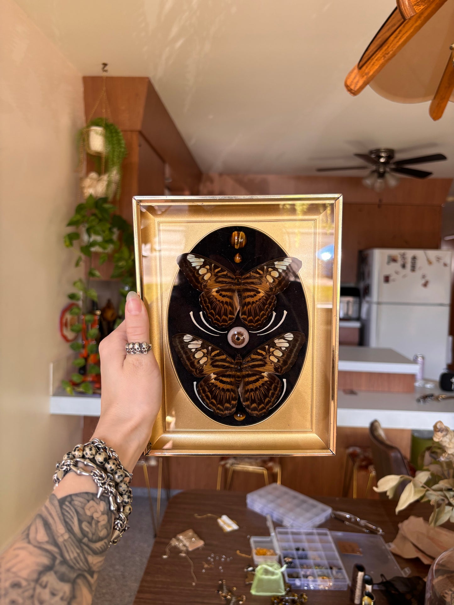 Clipper Alchemist frame