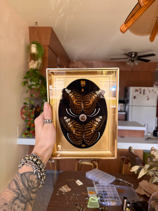 Clipper Alchemist frame