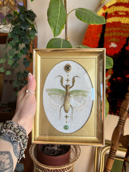 Mantis