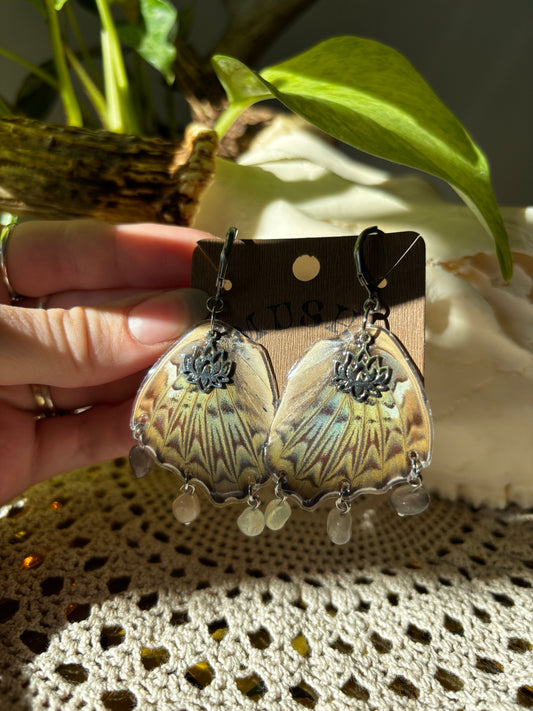 Butterfly Wing Earrings