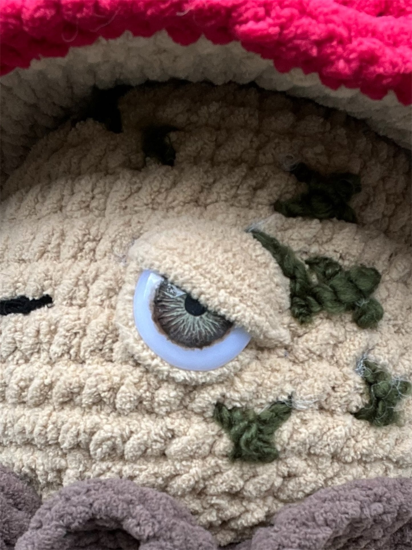 Derpy Mushroom baby