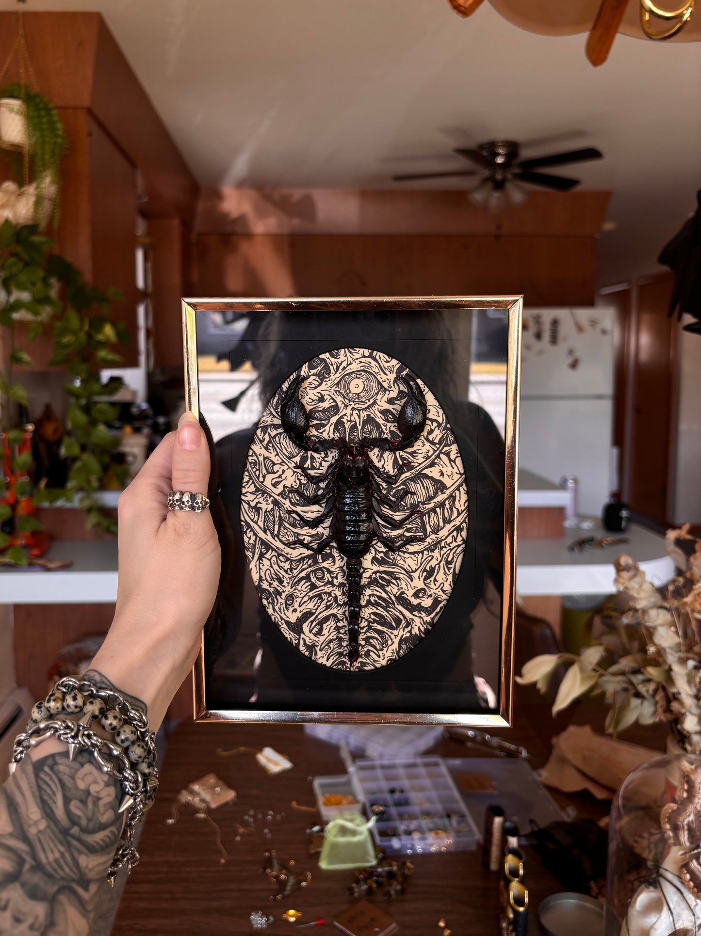 MUSHBUGS X GHOSTSHIP: Scorpion