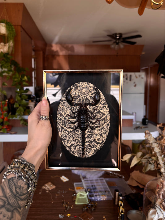 MUSHBUGS X GHOSTSHIP: Scorpion