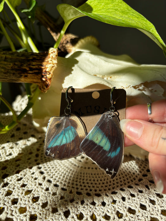 Butterfly Wing Earrings