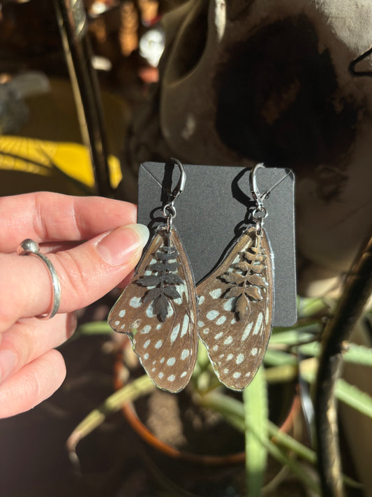 Butterfly Wing Earrings