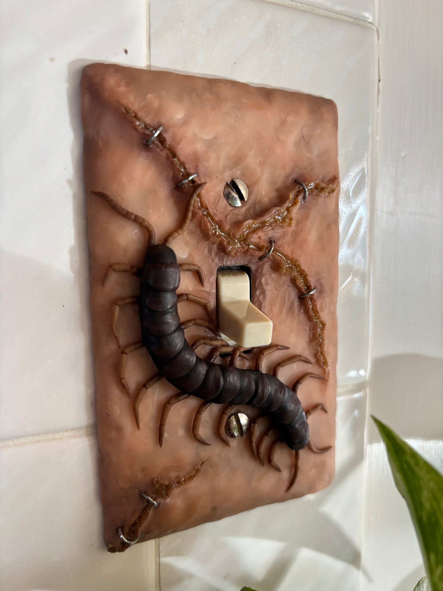 Centipede Light Switch Cover