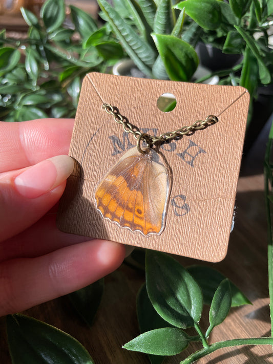 Butterfly Wing Necklace