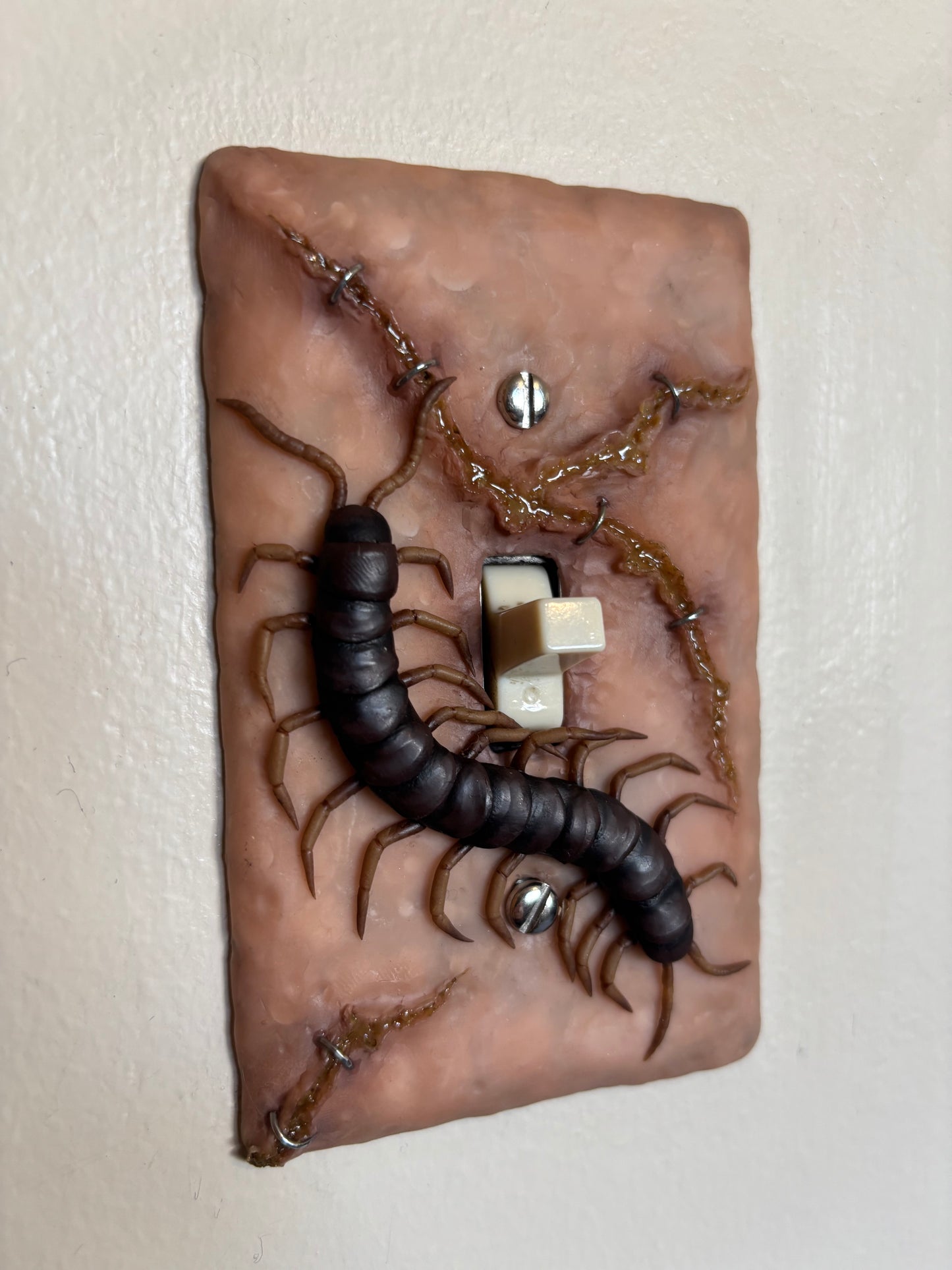 Centipede Light Switch Cover