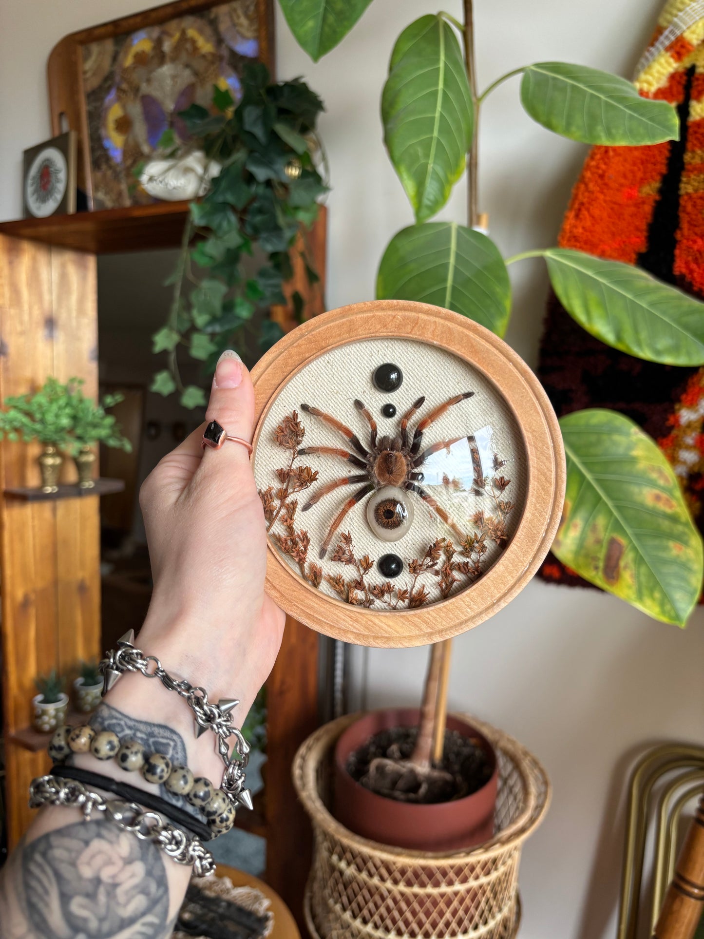 Bubble frame tarantula