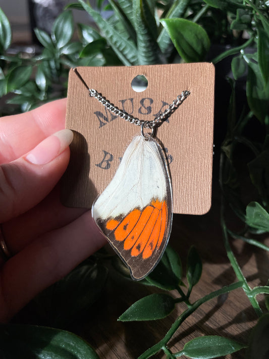 Butterfly Wing Necklace