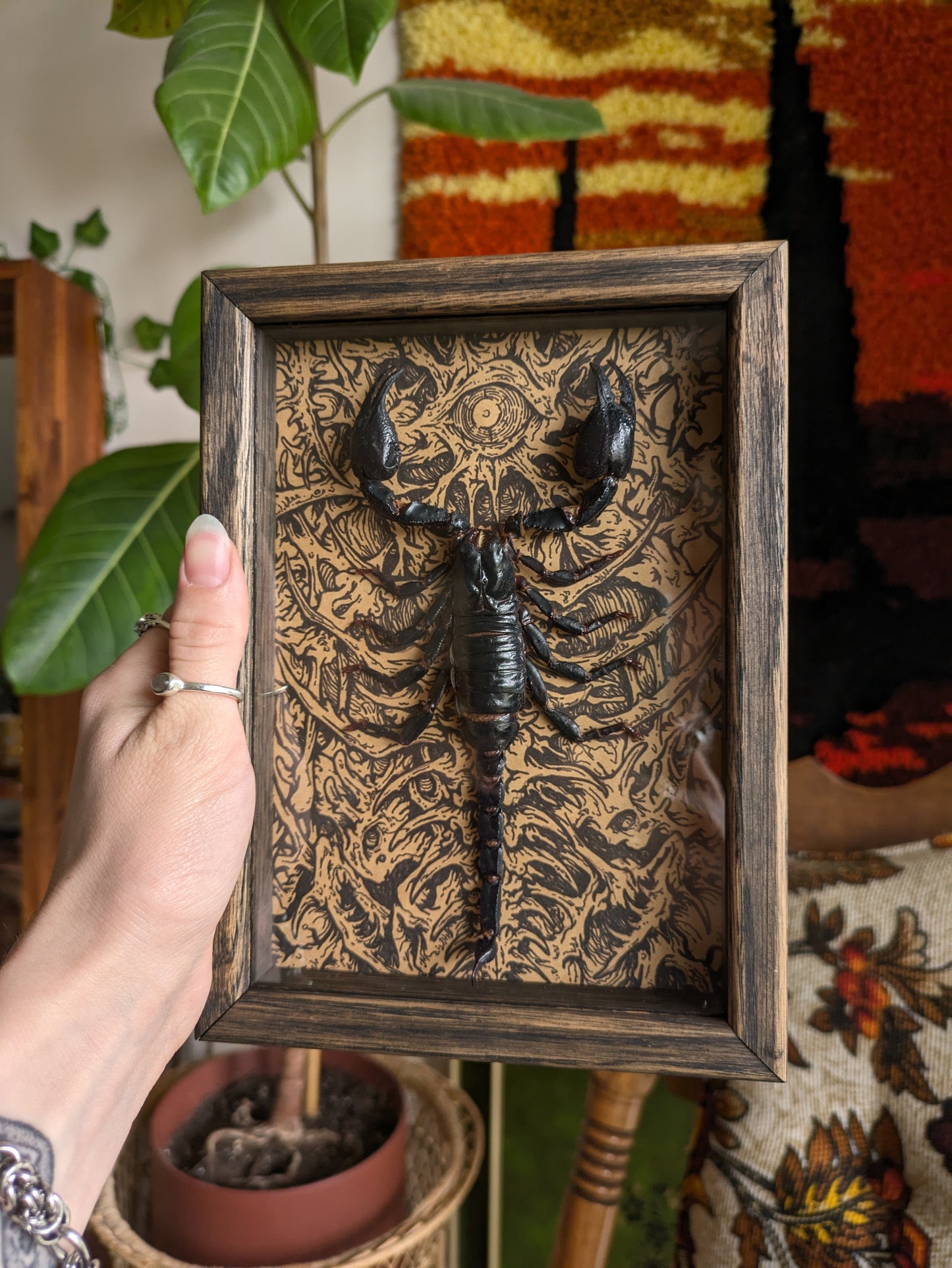 MUSHBUGS X GHOSTSHIP: Scorpion