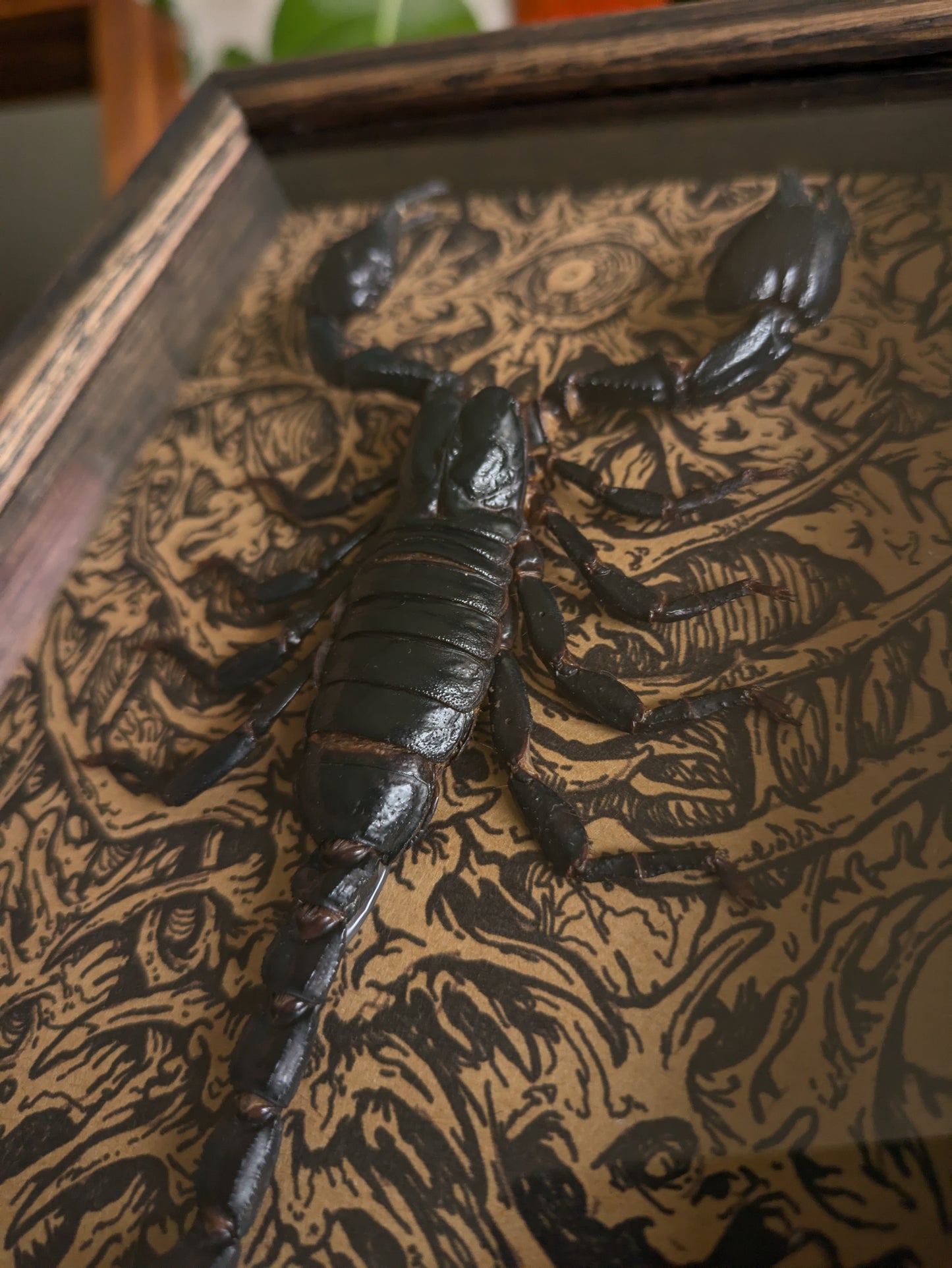 MUSHBUGS X GHOSTSHIP: Scorpion