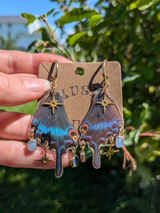 Butterfly Wing Earrings