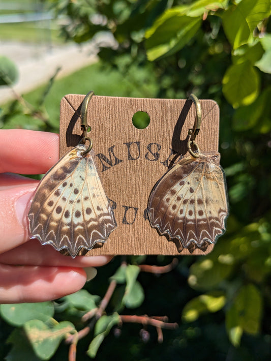 Butterfly Wing Earrings