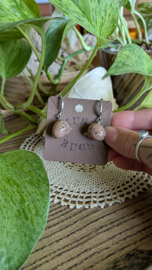 Brain Dangles