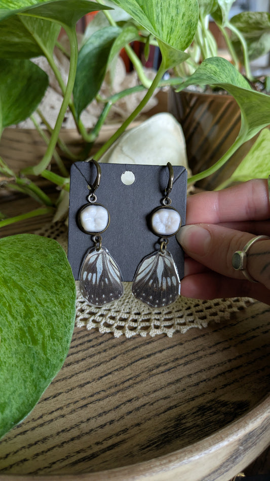 Molar + Wing Earrings