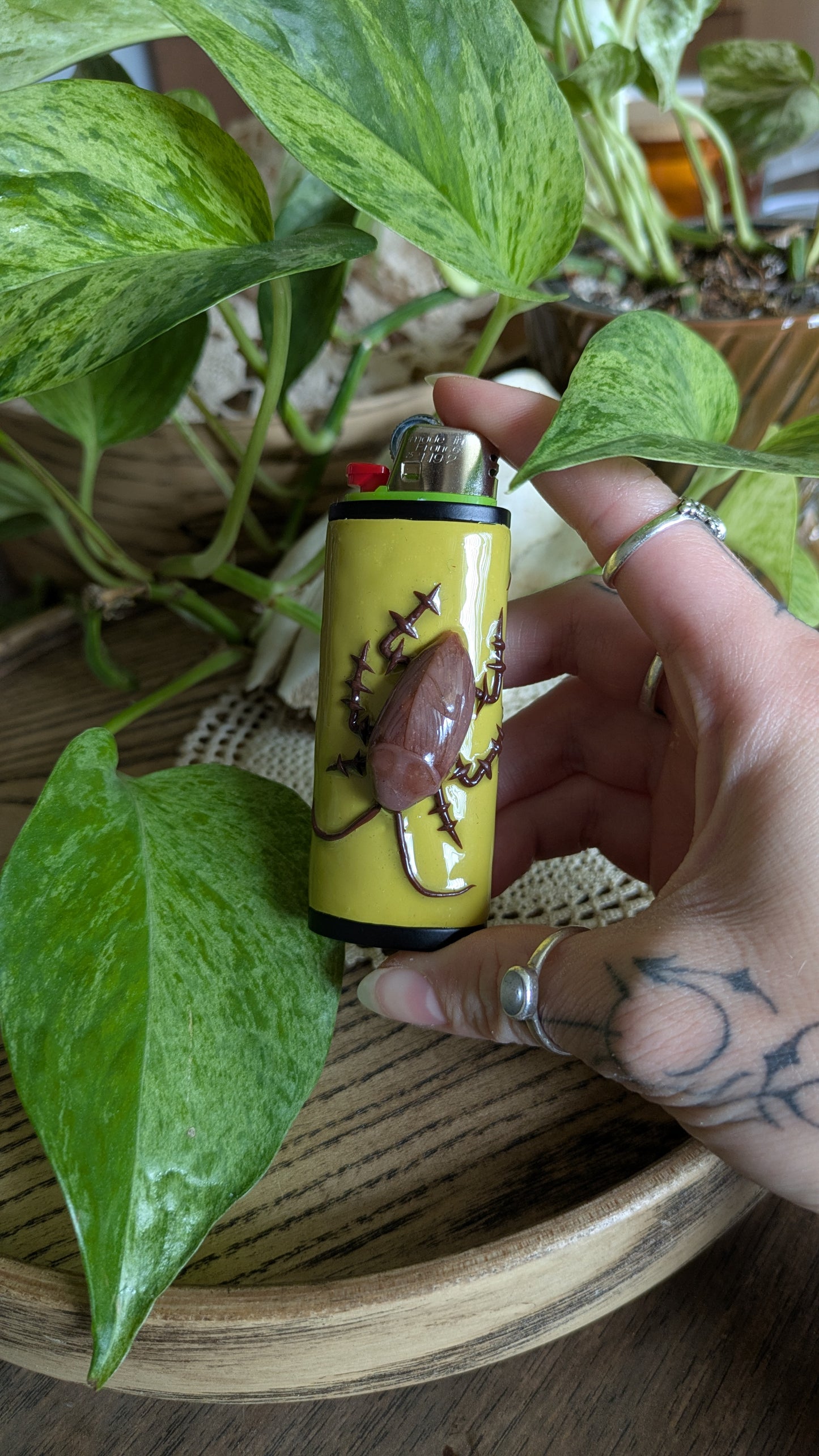 COCKROACH!!!!